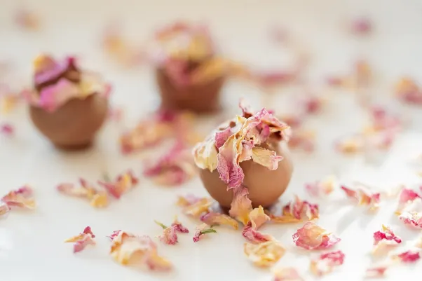 Cresus Kazino Android/iOS Lietotne